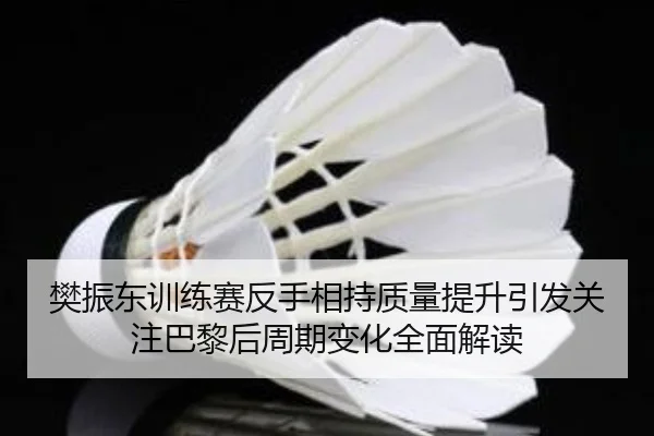 樊振东训练赛反手相持质量提升引发关注巴黎后周期变化全面解读